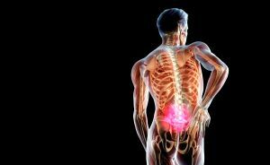 Causes of back pain