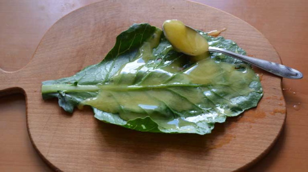 Cabbage leaves for the treatment of bruised joints