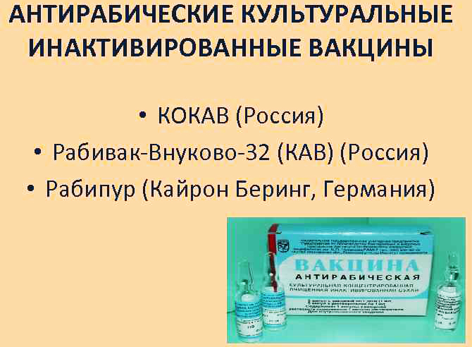 Rabies vaccine. Vaccination scheme, instructions for use, price