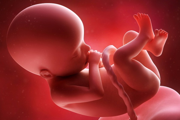 CTG'de üçüncü, ikinci trimesterde fetal hipoksi belirtileri