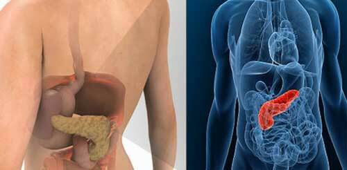 Pancreas: where is and how it hurts?