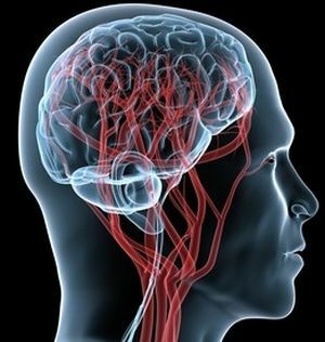 Ce que les vaisseaux cérébraux du cerveau montrent - comment la tomographie est faite, contre-indications, critiques et prix