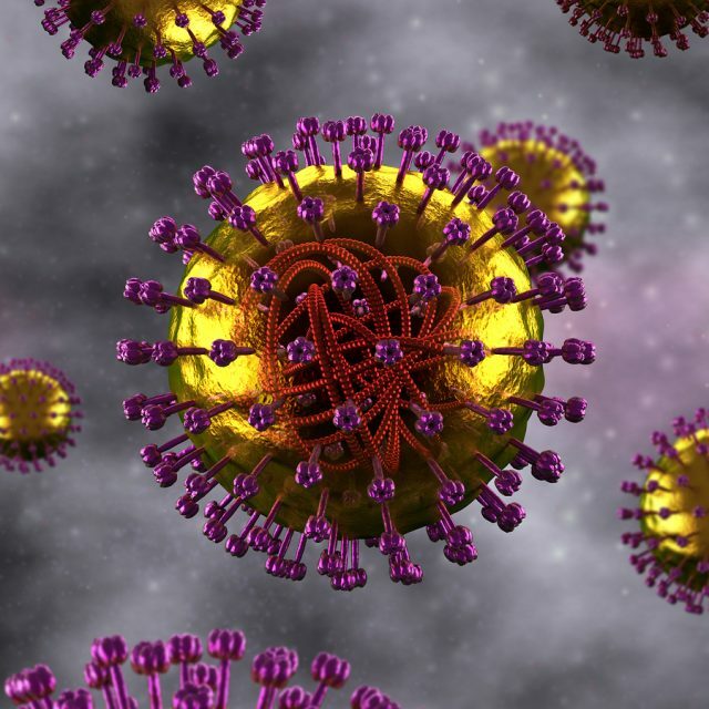 Rubella-virus