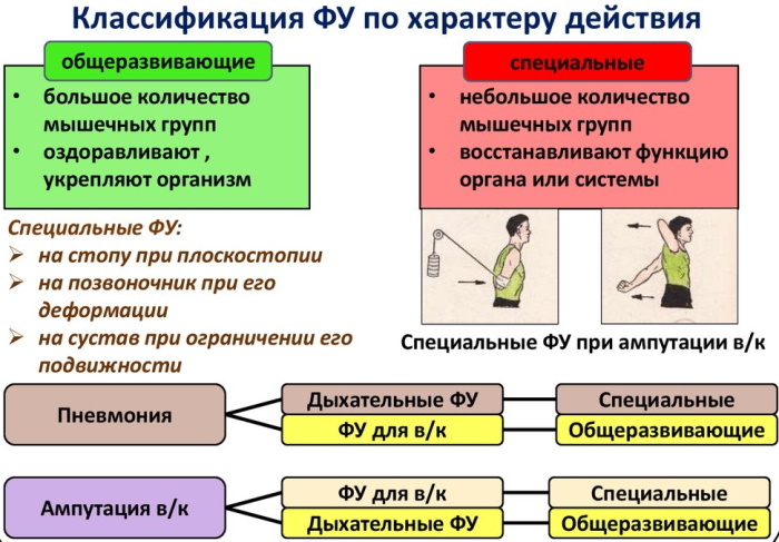 Physical exercise in exercise therapy. Classification: species, groups