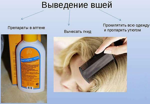 How to get rid of lice