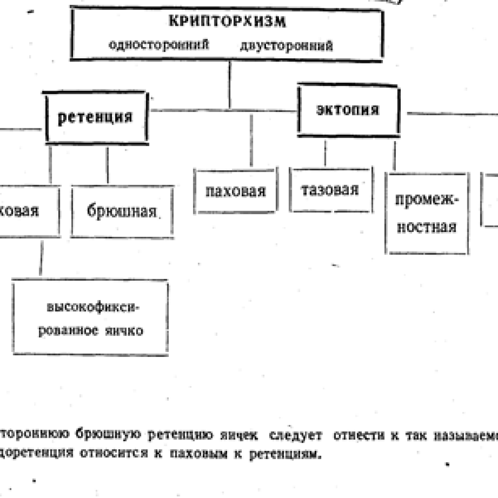Classification of cryptorchidism