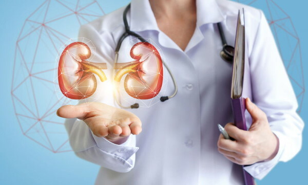 Drugs for the treatment of kidney and urinary tract in women