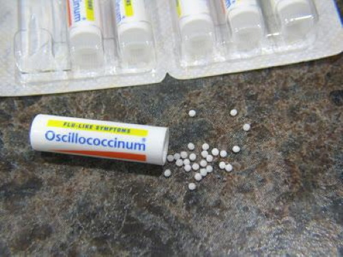 Oscillococcinum under graviditeten 1-2-3 trimester. Bruksanvisning, recensioner