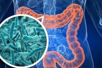 Virusul intestinal: simptome și tratament la copii și adulți