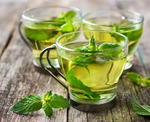 Mint. Useful properties for women 40-50-60 years old