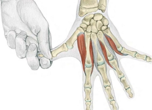How to lengthen fingers at home, surgery