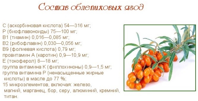 Sea buckthorn tea. Benefits, how to make from leaves, berries