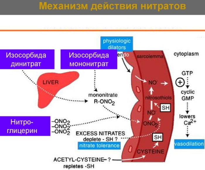 Intravenous Petrov's mixture. Indications for use, composition, reviews