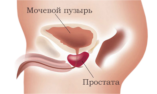 Prostaty patolojisi