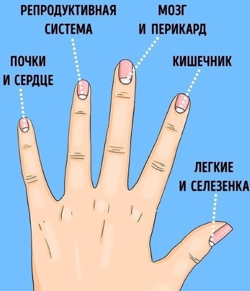 Diagnose van vingernagels: diagnosetabel, foto met beschrijving