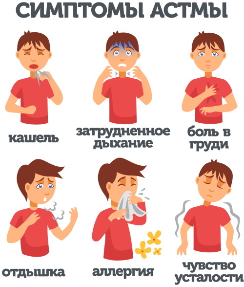 Asthme chez l'adulte. Symptômes, comment cela commence, causes, traitement