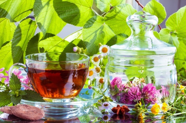 Herbs for menopause with hot flashes, sweating, folk remedies