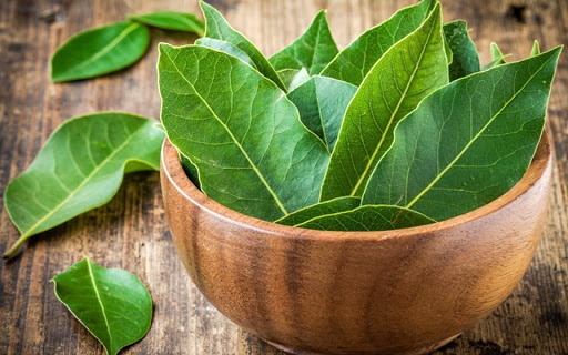 Bay leaf treatment. Recipes, applications, reviews