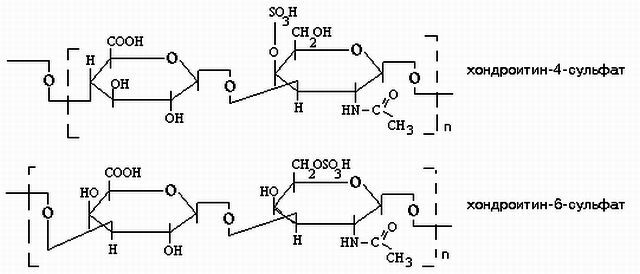 Kondroitin-4-sulfat