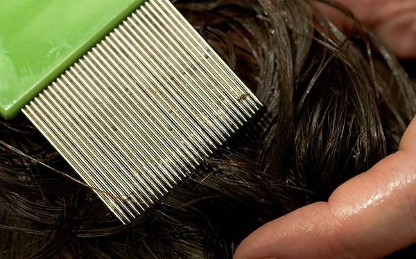 Setelah pembilasan obat, perlu menyisir rambut dengan sisir khusus, untuk meningkatkan efeknya
