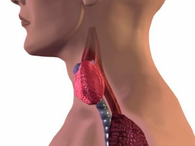 Årsager til sur, putrefaktiv lugt fra munden hos voksne