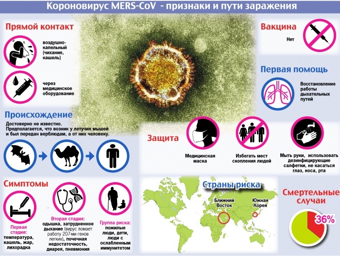 Coronavirus infection in humans. What is it, symptoms, treatment
