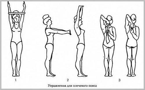 Exercises for the shoulder girdle