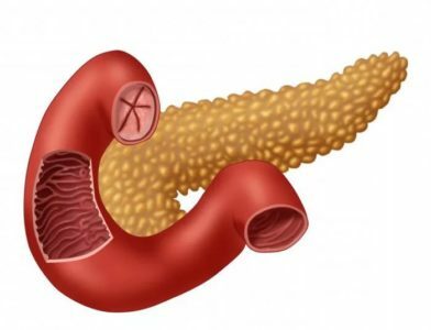 La piega longitudinale( orizzontale) del duodeno( duodeno): struttura e malattia