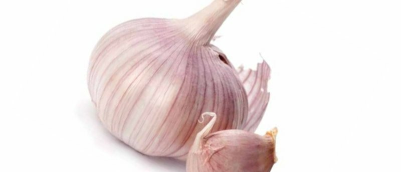 Composition and use of garlic