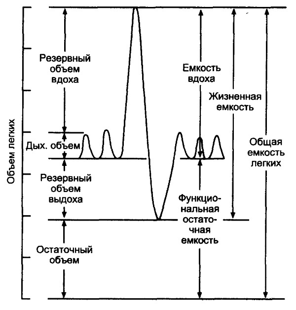 Spirometrija (spirografija). Įprasti rodikliai, lentelė, kaip tai atliekama, rezultatų dekodavimas