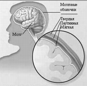 upale membrane mozga