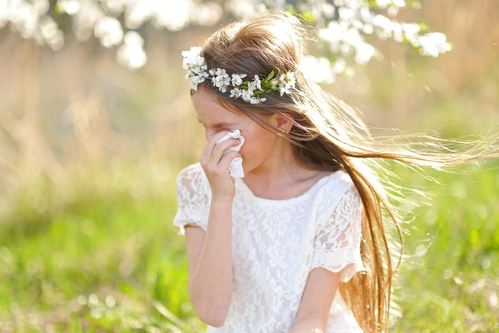 Saisonale Allergie (Blütenallergie, Heuschnupfen): Augen gerötet, jucken und tränen: Was tropfen?