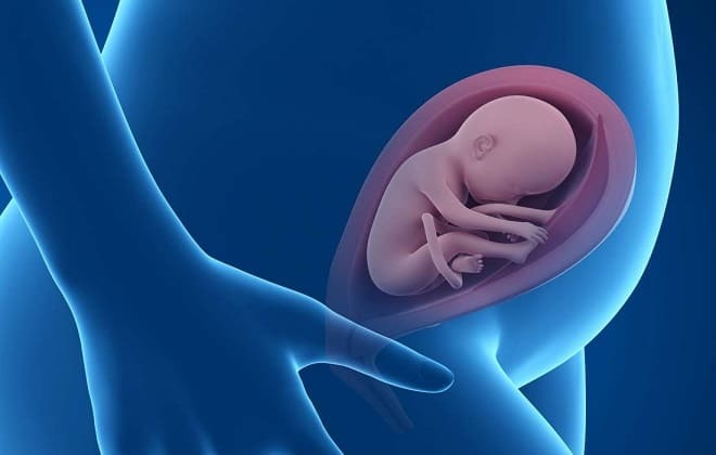 Analiza HCG ✅: skąd pochodzi krew dla hormonu 💉, co to jest w ginekologii, dekodowanie skrótu, jak zrozumieć wyniki w czasie ciąży, zrób test wcześnie terminów, co oznacza, że ​​b jest powszechne u kobiet, pokazuje dodatnie HCG u dziewcząt, stół, dlaczego jest robiony, jak wygląda ludzka gonadotropina kosmówkowa, jak Rozumiesz