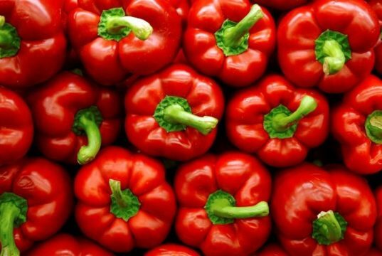 Bulgarian pepper with pancreatitis