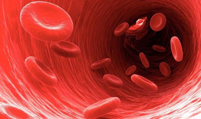 Osmotic resistance of erythrocytes. What is it, how is it determined, the method