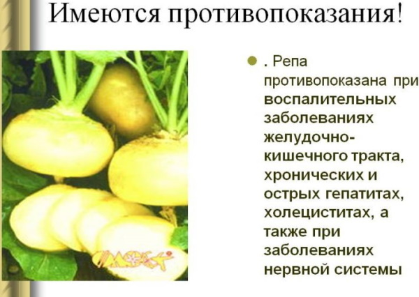 Turnip. Useful properties and contraindications for women