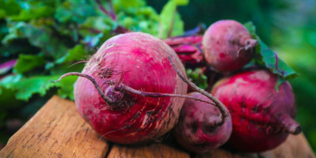 history of beets