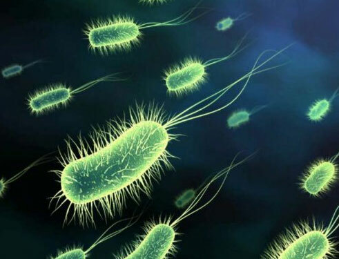 Bakteriálna uretritída