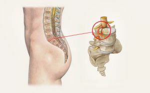lombară a coloanei vertebrale
