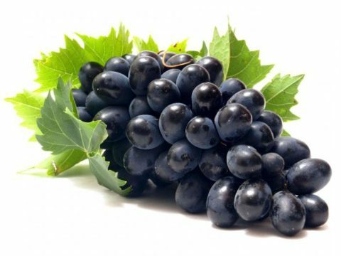 Pankreatitis in grozdje