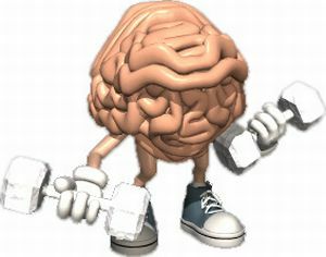 beyin eğitimi