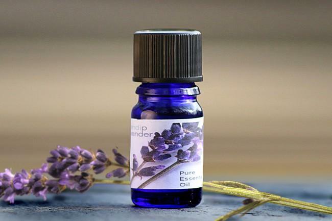 Lavender oil for the treatment of boils