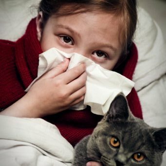 Životinjska alergija