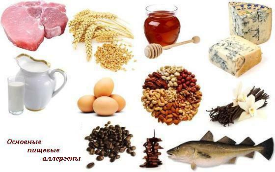 Los principales alérgenos alimentarios