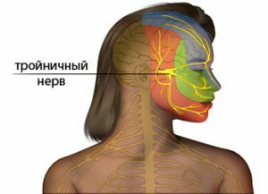 trigeminus nerve
