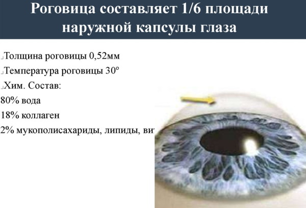 Human eye. Viewing angle, structure, anatomy, device
