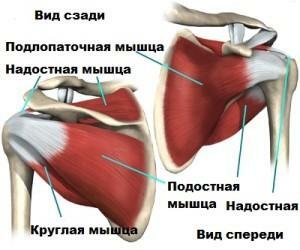 Inflamația tendonului musculaturii subcapulare