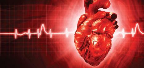 Patologi i hjertet og blodkar