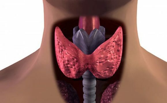 Cum să vă pregătiți pentru ultrasunete a glandei tiroide?