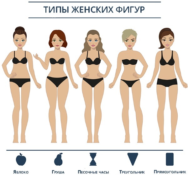 Kroppstyper hos kvinnor, män. Anatomi, objektiva indikatorer, proportioner, visuell bedömning